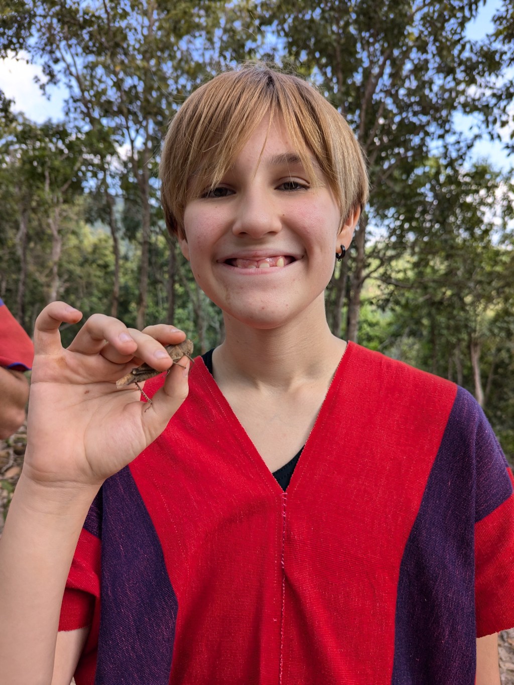 Steamrolled by an Elephant&nbsp;(Almost)