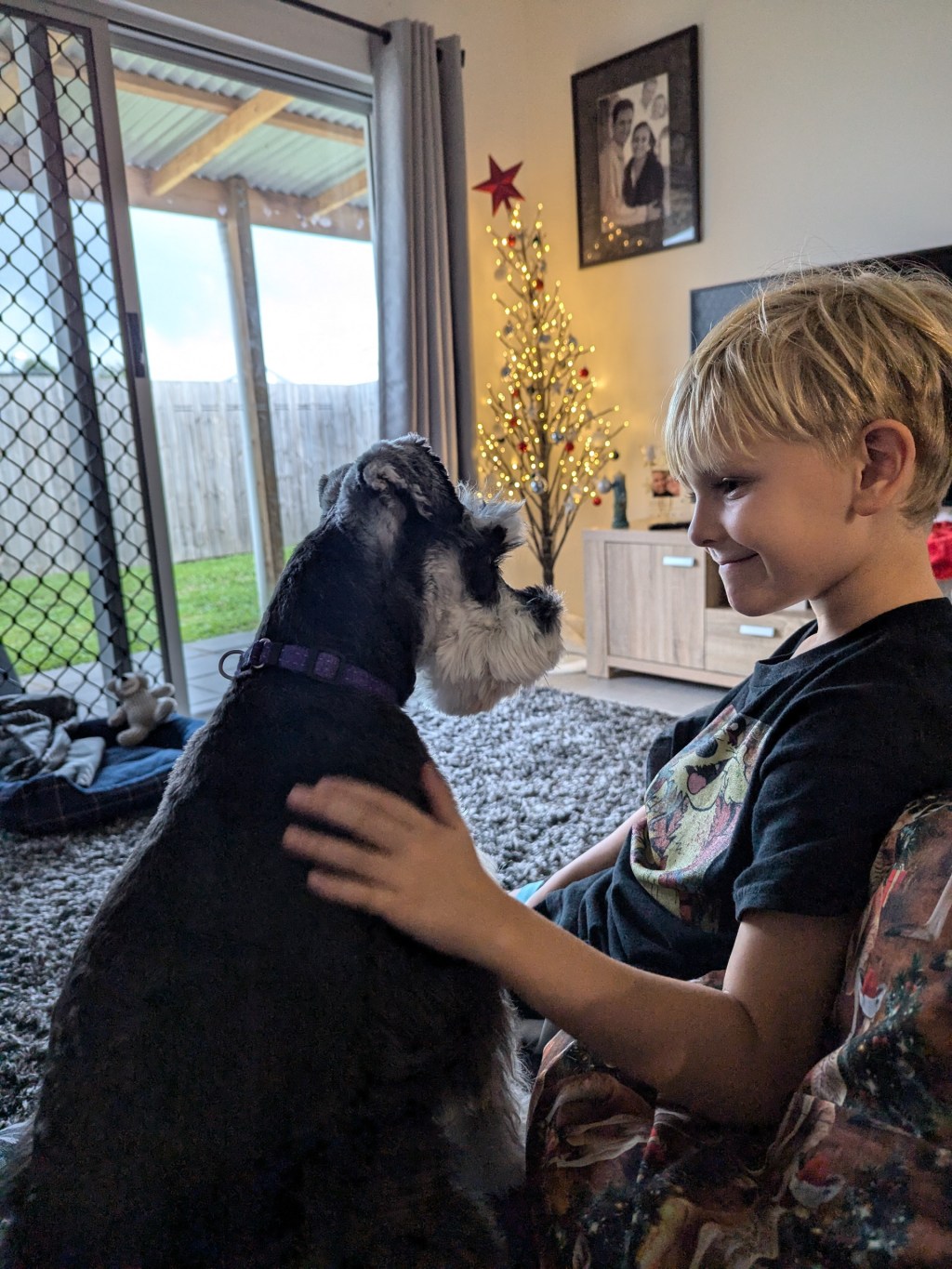 Bowser the Schnauzer